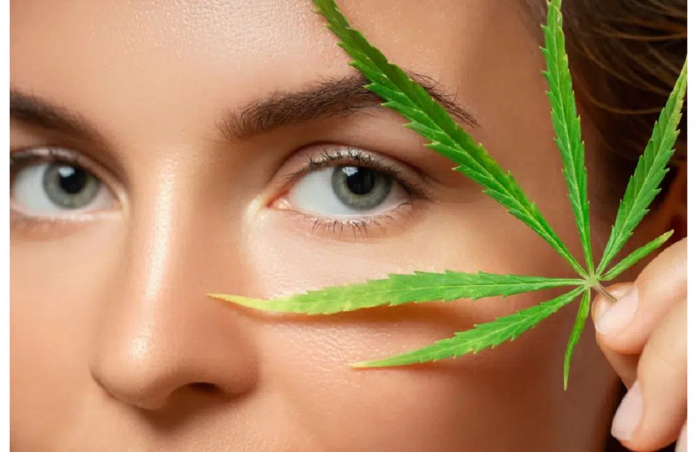 savoir sur les cosmétiques CBD